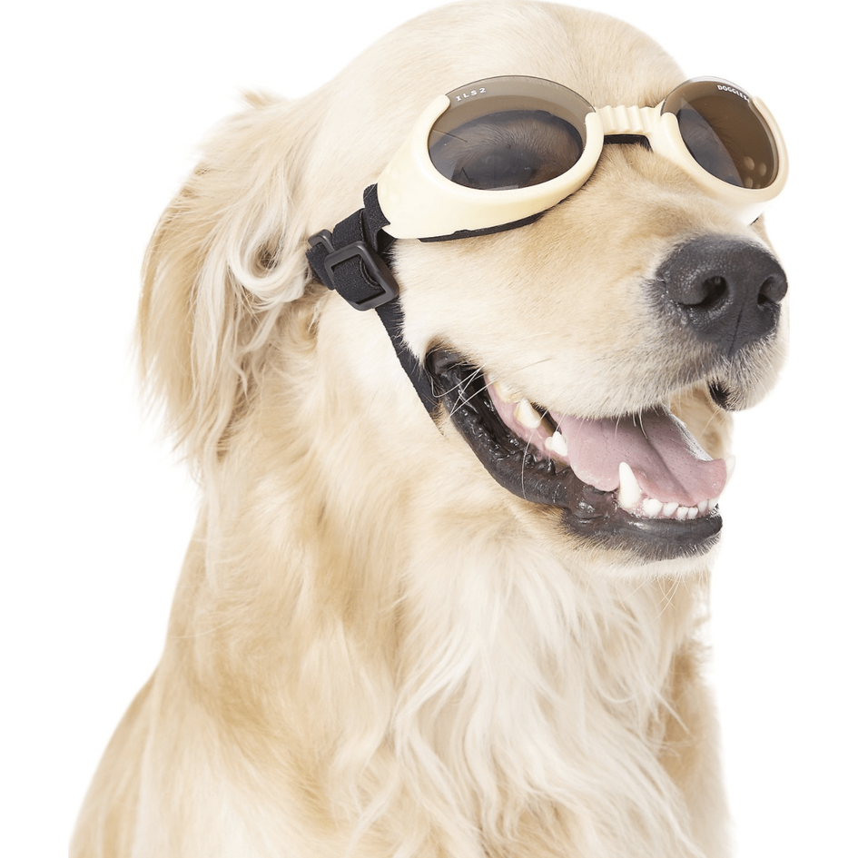 Doggles goggles top