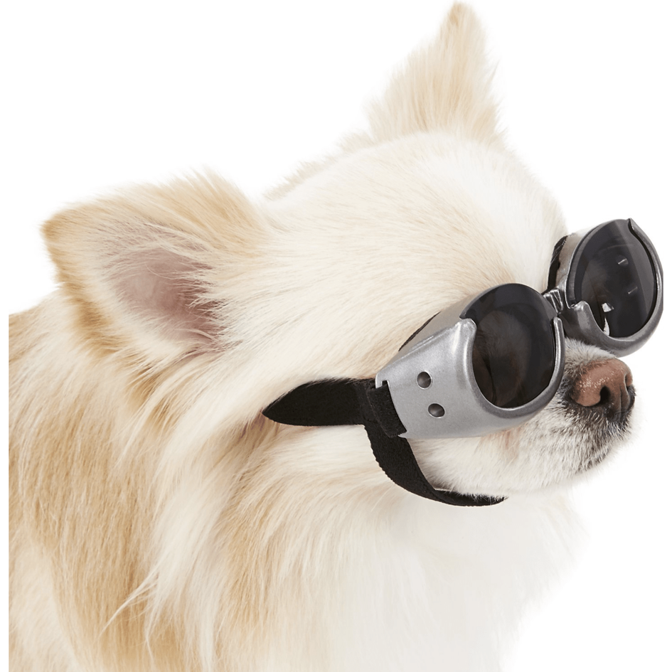 Doggles ILS Dog Goggles AKC Shop