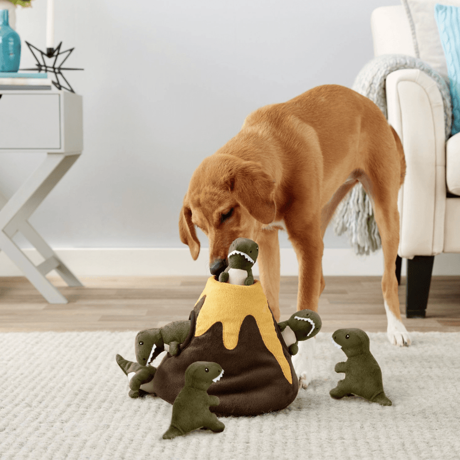 Frisco Hide and Seek Plush Volcano Puzzle Dog Toy