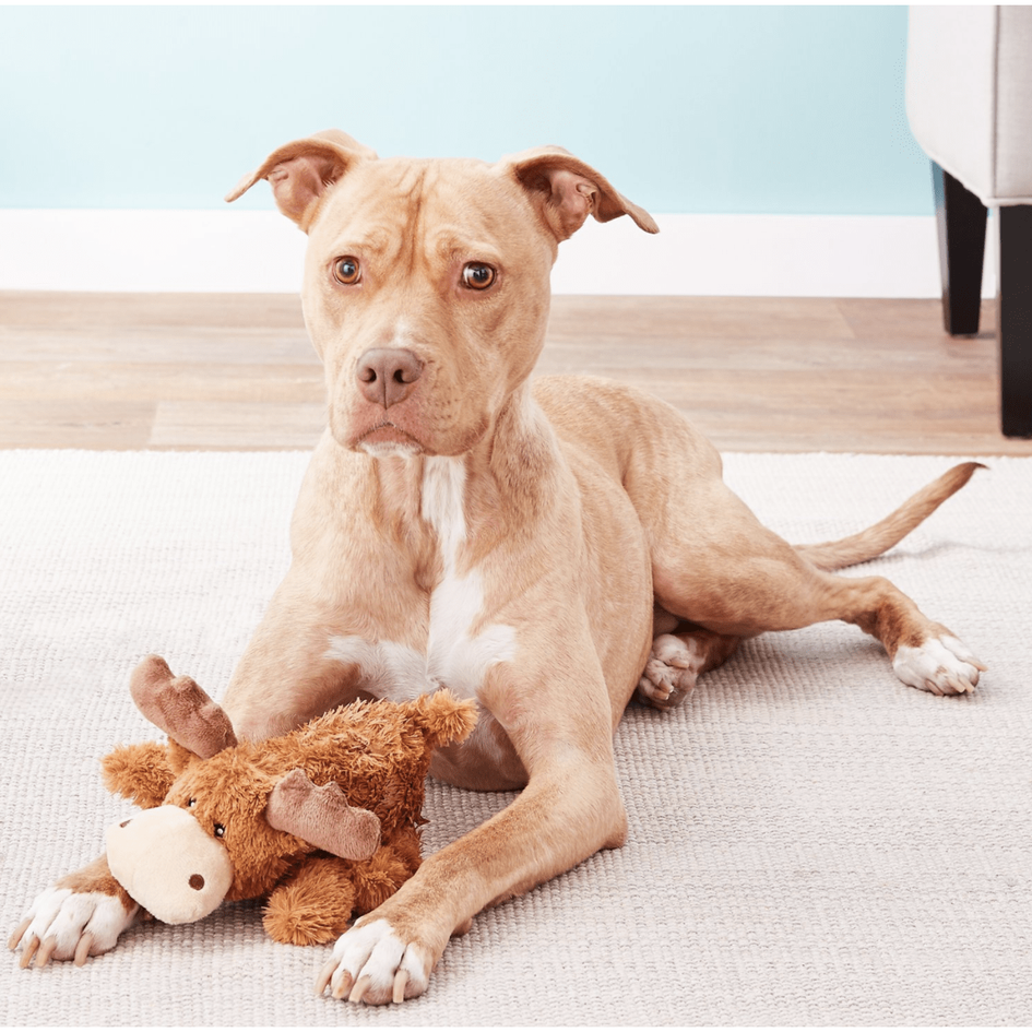 Kong cozie marvin the moose hot sale