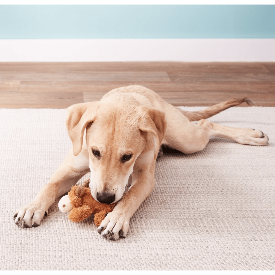 KONG Cozie Marvin the Moose Plush Dog Toy AKC Shop