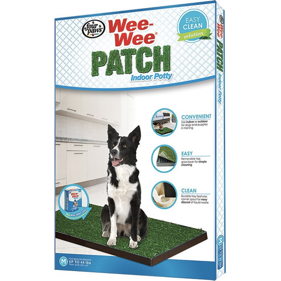 Pee patch 2024