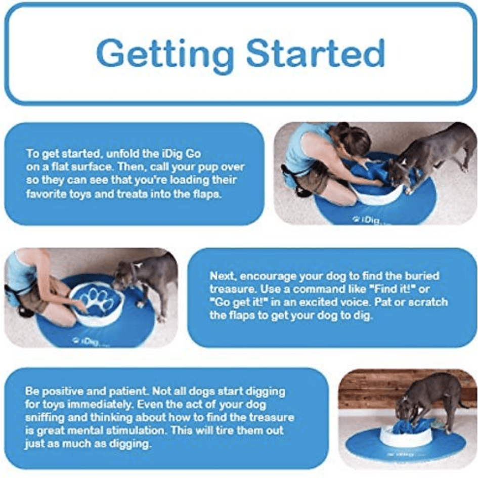 iFetch iDig Go Dog Toy, Blue AKC Shop