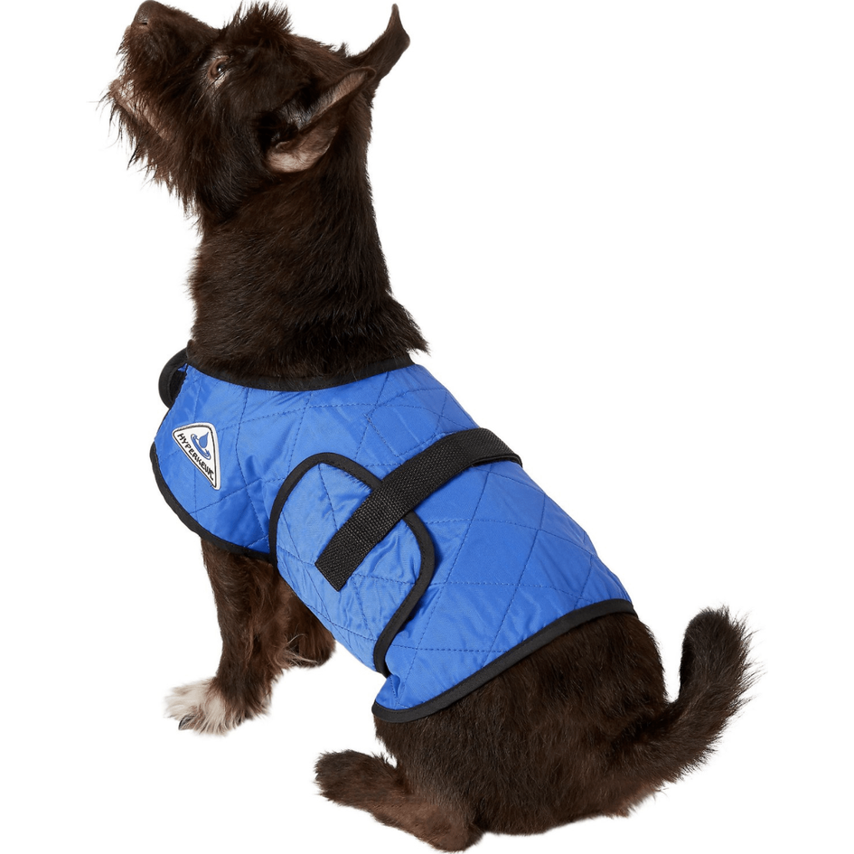 Hyperkewl evaporative deals cooling dog coat