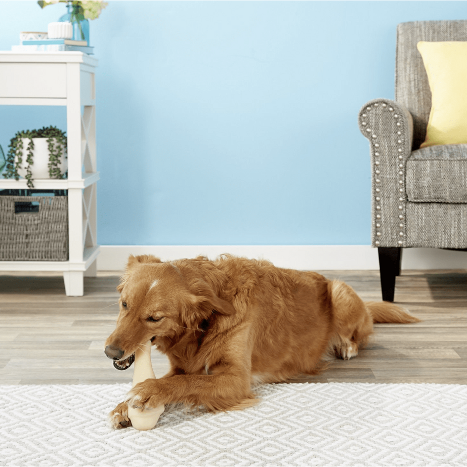 Nylabone turkey leg deals