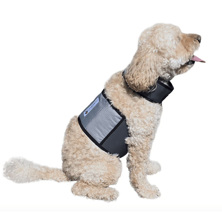 Go fresh ice vest for dogs clearance