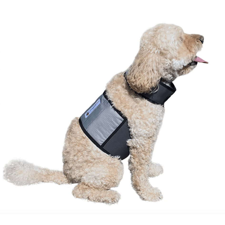 FlexiFreeze Ice Refill for Cooling Vest and Collar