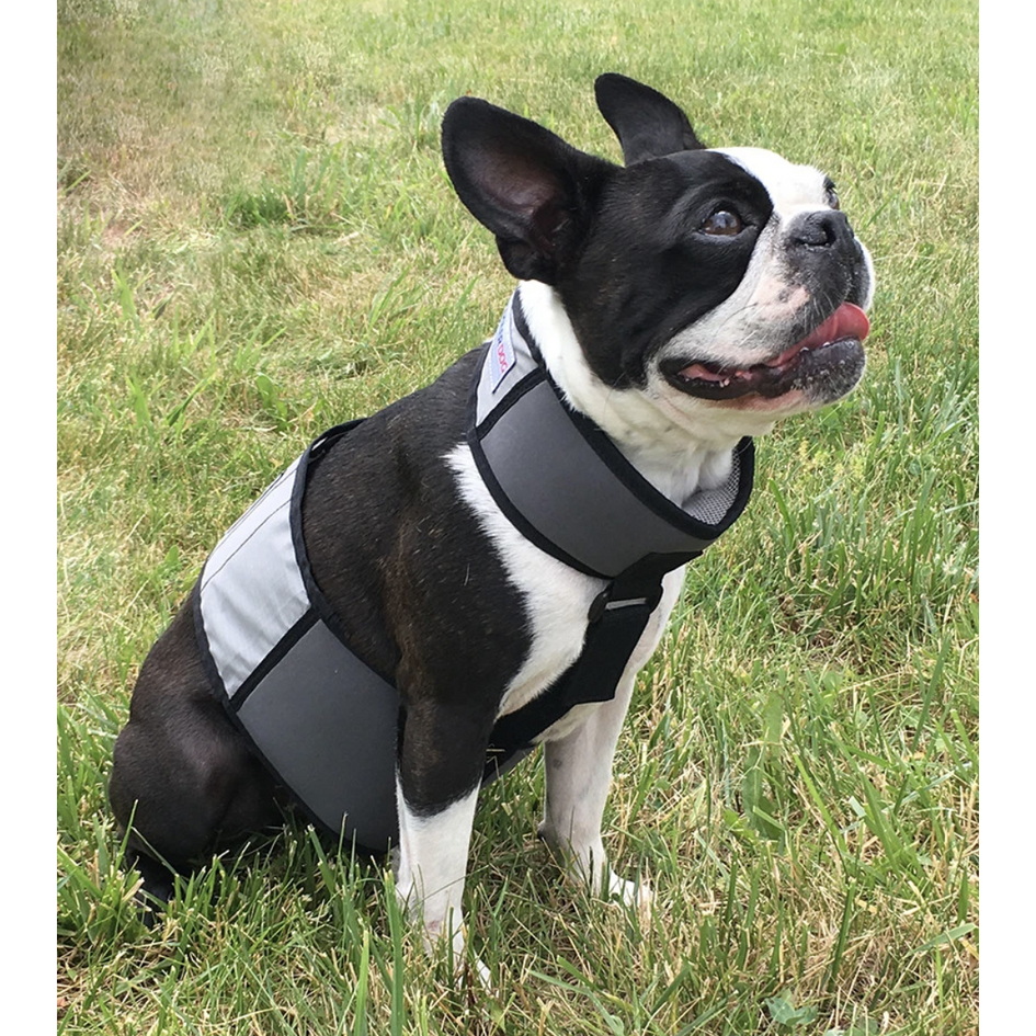 Cooling Vest and Collar