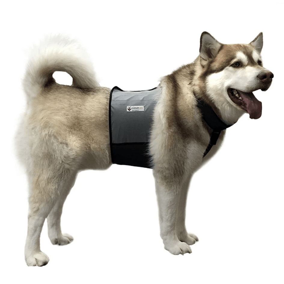 Cooling Vest and Collar