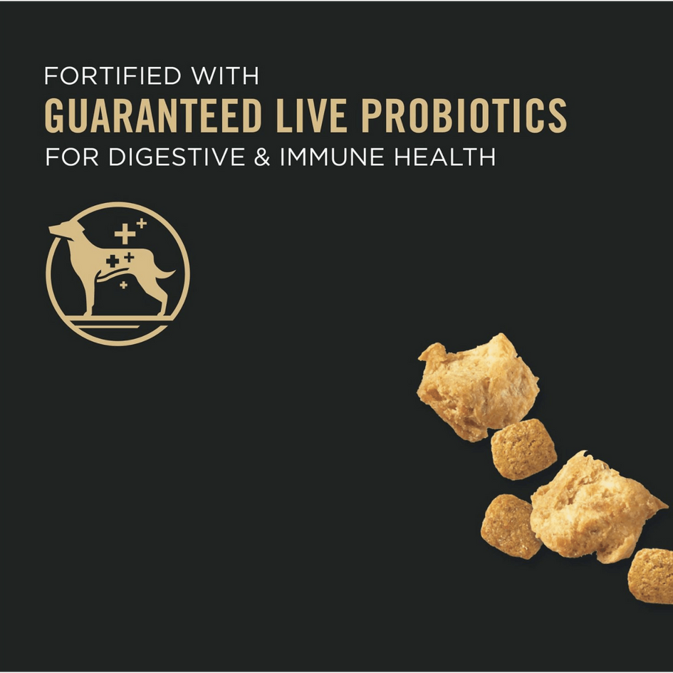 Pro plan shredded clearance lamb and rice