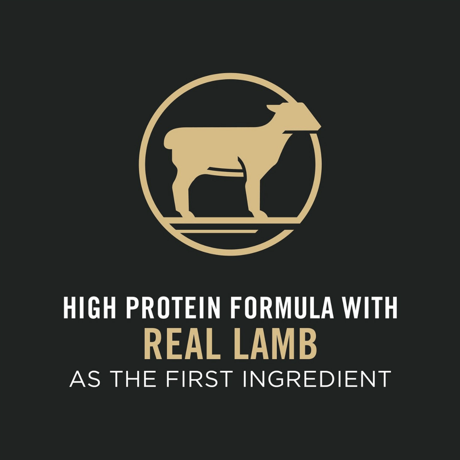 Pro plan shredded lamb and outlet rice