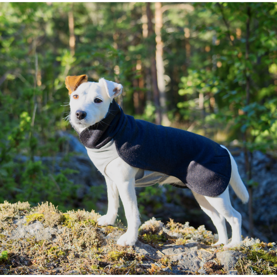 PAIKKA Dog Recovery Winter Shirt