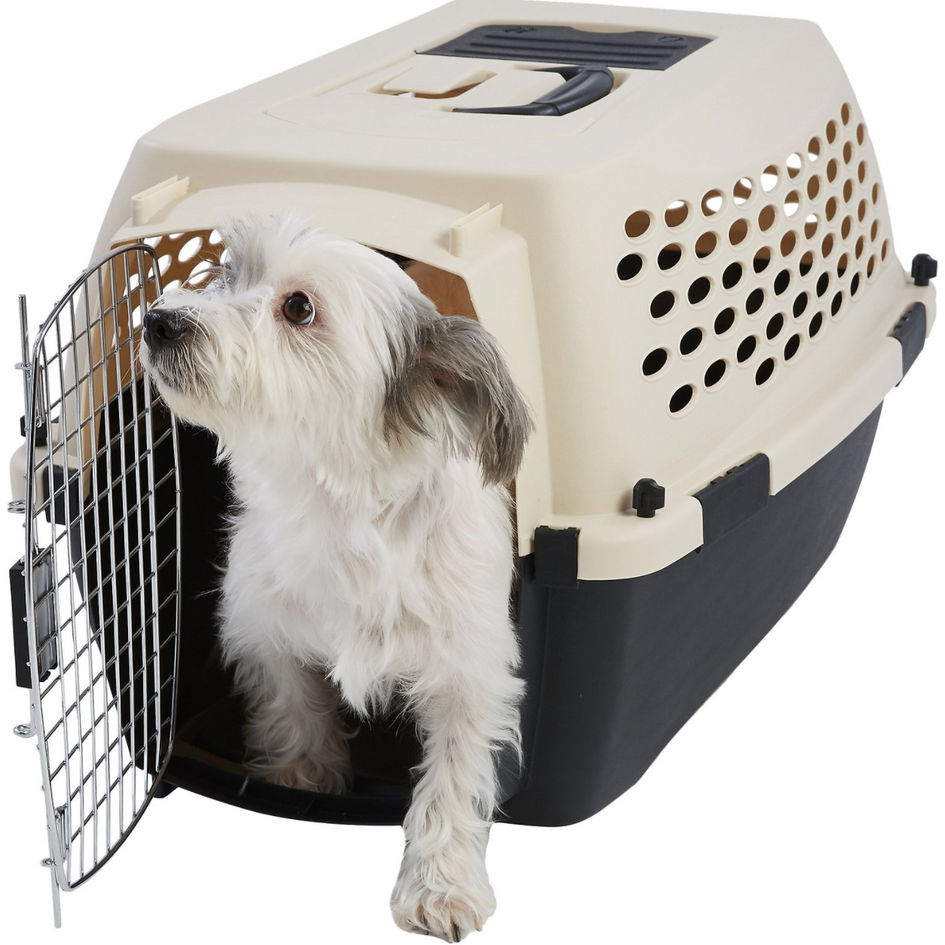 Plastic clearance dog carrier