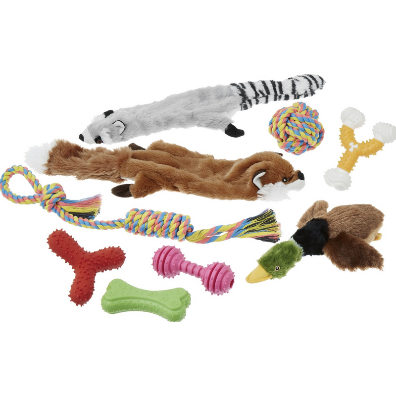 Frisco Rope, Plush, and TPR Dog Toy Bundle, 10 pack