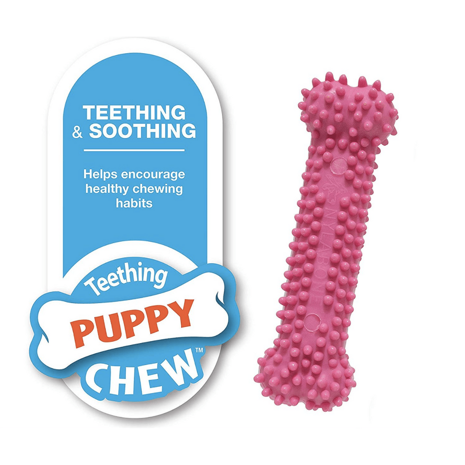 Nylabone puppy sales chew chicken flavor