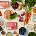 Ollie Custom Dog Food Subscription