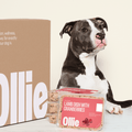 Ollie Custom Dog Food Subscription