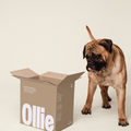 Ollie Custom Dog Food Subscription