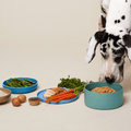 Ollie Custom Dog Food Subscription
