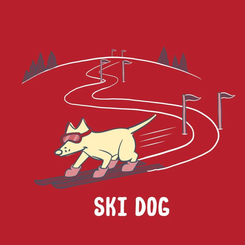 Ski Dog - Ladies Plus V-Neck Tee