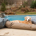 Waterproof Dog Bed