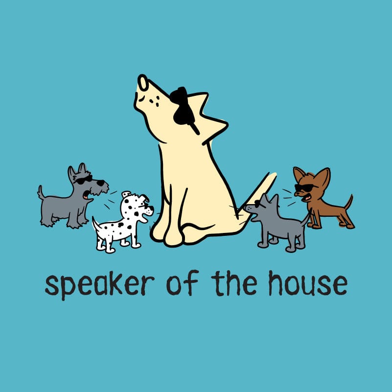 Speaker of the House - Ladies T-Shirt V-Neck