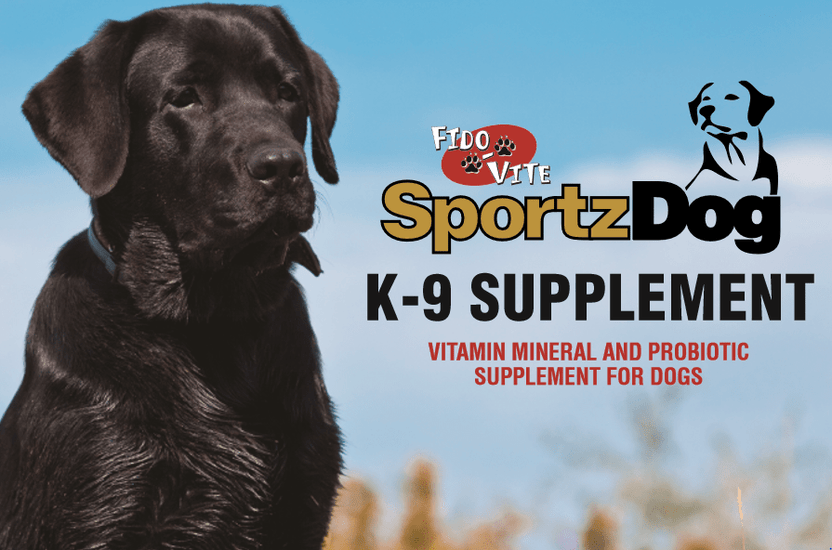 FidoVite SportzDog Supplement AKC Shop
