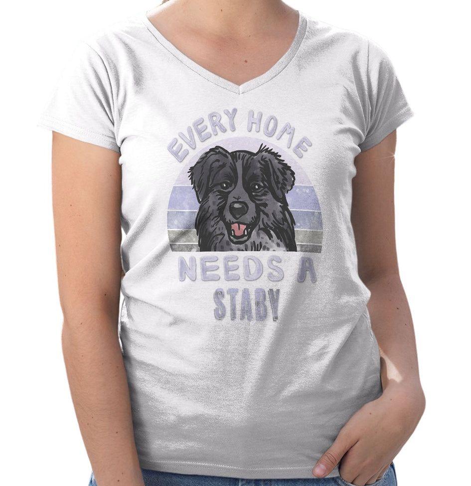 Every Home Needs a Stabyhoun - Women's V-Neck T-Shirt