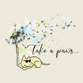 Take A Paws - Ladies T-Shirt V-Neck