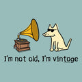 I'm Not Old I'm Vintage - Sweatshirt Pullover Hoodie