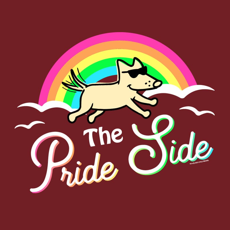 The Pride Side - Ladies Curvy V-Neck Tee