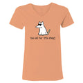 Too Old For This Sheet - Ladies T-Shirt V-Neck