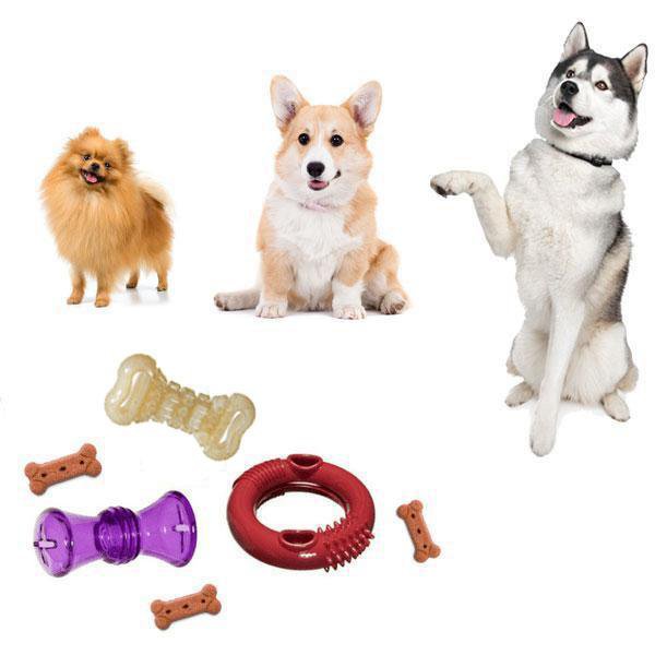 AKC Select Rope & Rubber Dog Chew Toy