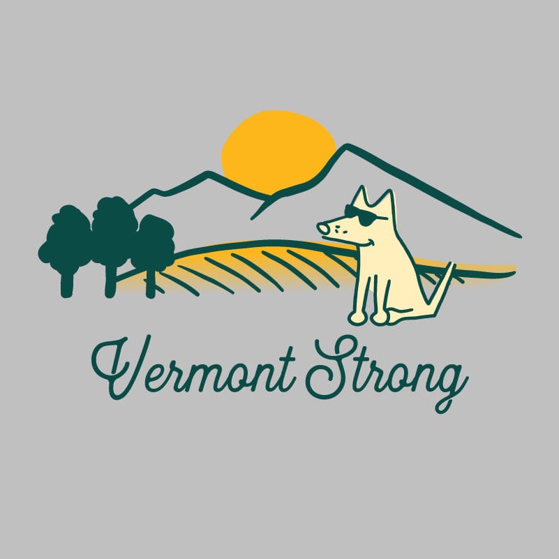 Vermont Strong - Ladies T-Shirt V-Neck