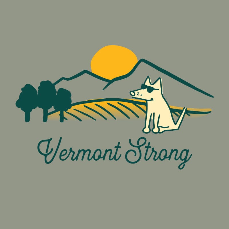 Vermont Strong - Ladies Curvy V-Neck Tee