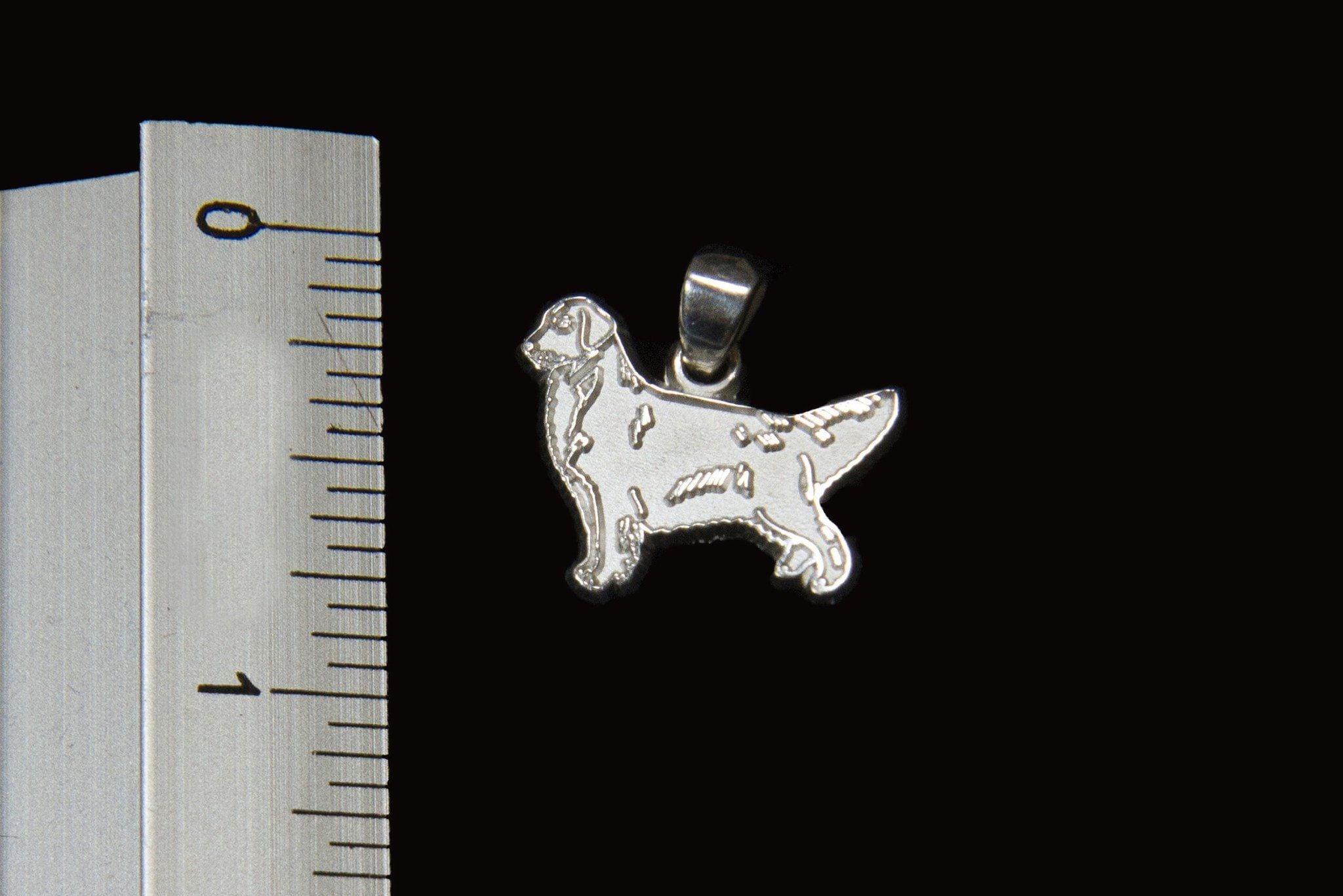 Vizsla necklace clearance