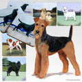 Airedale Terrier Scenic Square Coaster