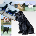 Cocker Spaniel Scenic Square Coaster
