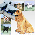 Cocker Spaniel Scenic Square Coaster