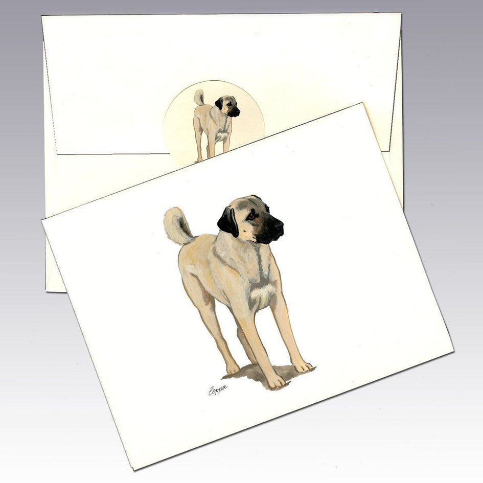 Anatolian Shepherd Dog Note Cards