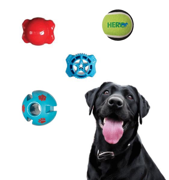 Interactive Dog Toys - Brainiac Pack