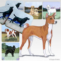 Basenji Scenic Square Coaster