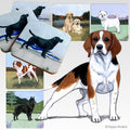 Beagle Scenic Square Coaster