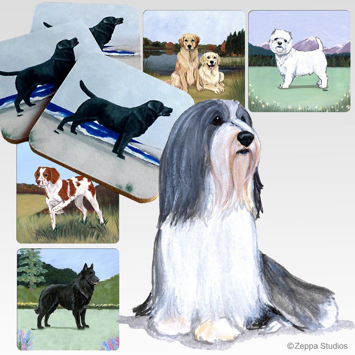 Bearded Collie Scenic Coaster AKC Shop