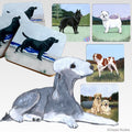 Bedlington Terrier Scenic Square Coaster