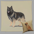 Belgian Tervuren Pillow Cover