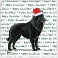 Belgian Shepherd "Happy Howlidays" Coaster