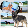 Belgian Tervuren Scenic Mug