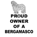 Bergamasco Proud Owner - Women's V-Neck T-Shirt