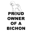 Bichon Frise Proud Owner - Women's V-Neck T-Shirt